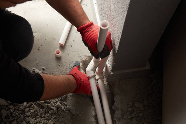 Best Emergency Plumber  in Lester Prairie, MN
